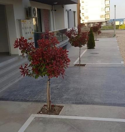 Mamaia Nord Apartament 18 Năvodari Buitenkant foto